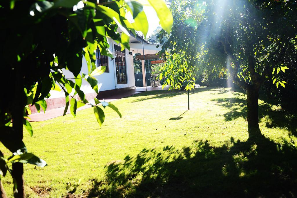Nil Vimana Villa إيلا المظهر الخارجي الصورة